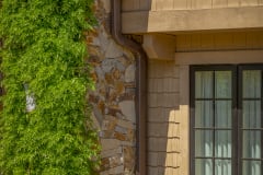 KGARDEN02_0621_0041
