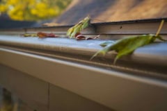 KGARD_101818_0058